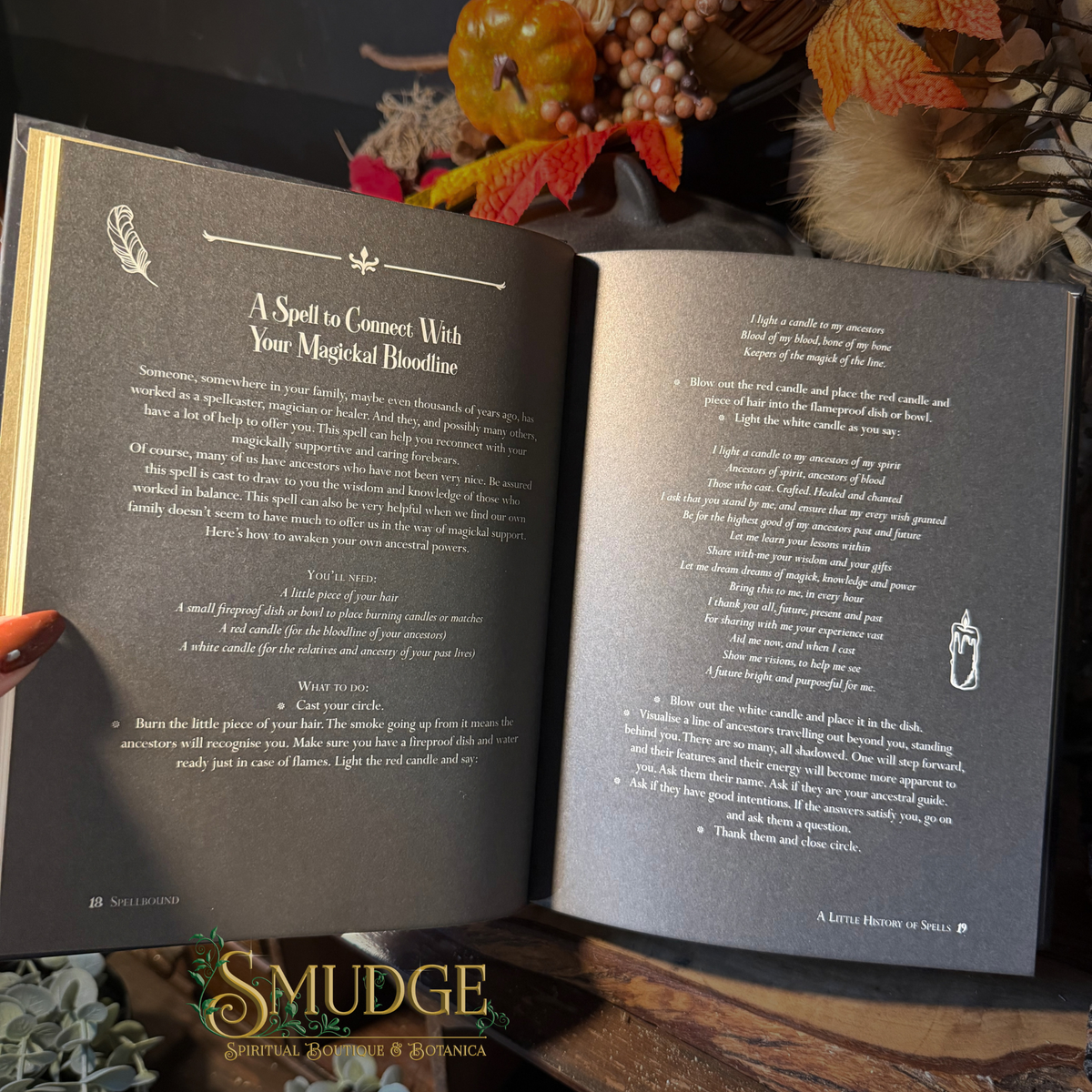 An open book with two printed pages featuring black text on dark gray paper, surrounded by autumn leaves, pumpkins, and a hand holding the left page. A logo at the bottom reads 'SMUDGE'.