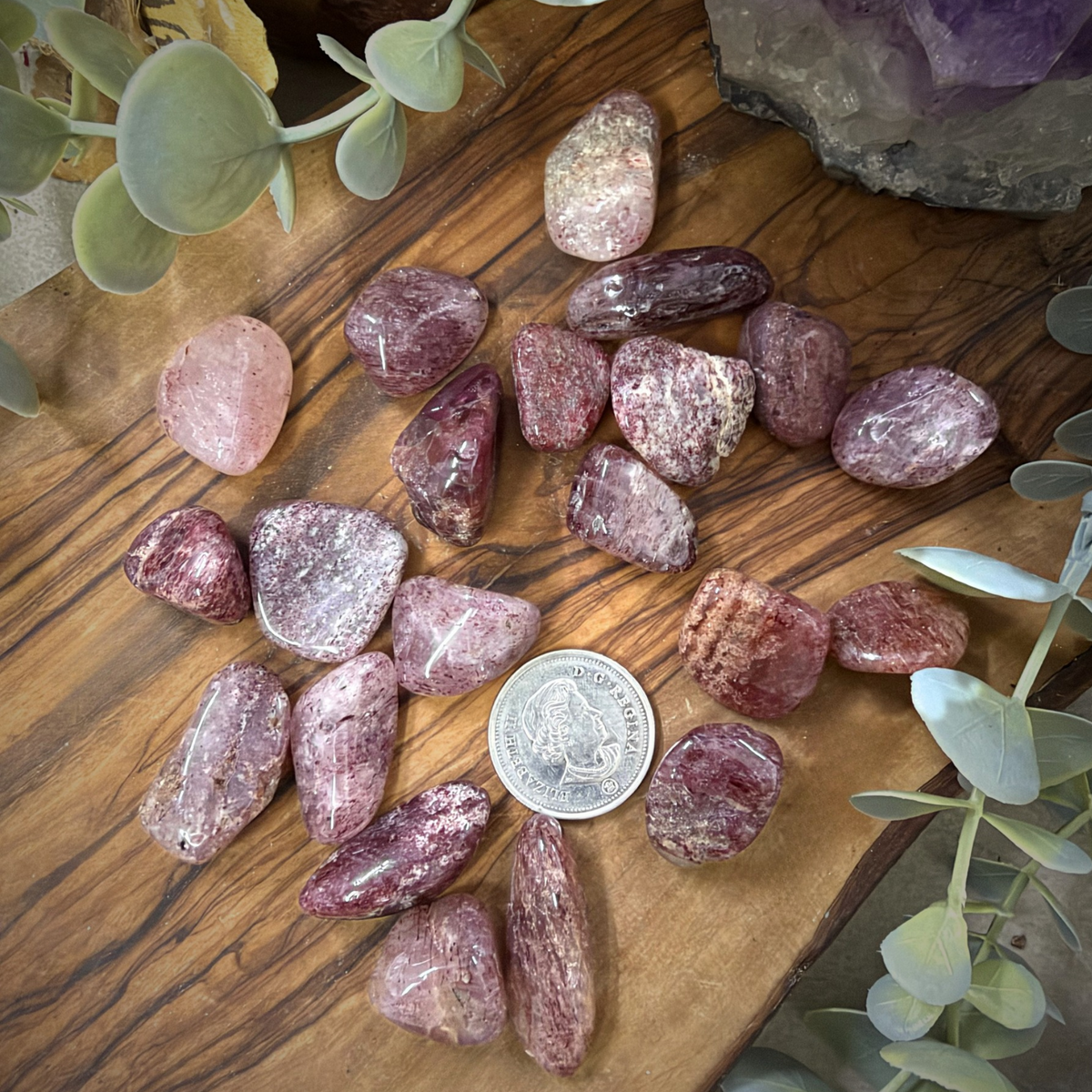 A group of polished tumbled pink and mauve crystals arranged on a wooden surface, with a US quarter coin in the center for scale and green foliage around the edges.