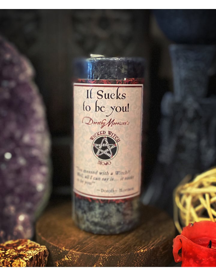 It Sucks to Be You Candle