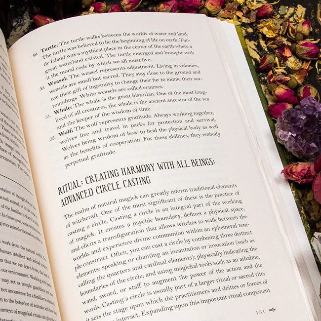 Modern Witchcraft - Book of Natural Magick