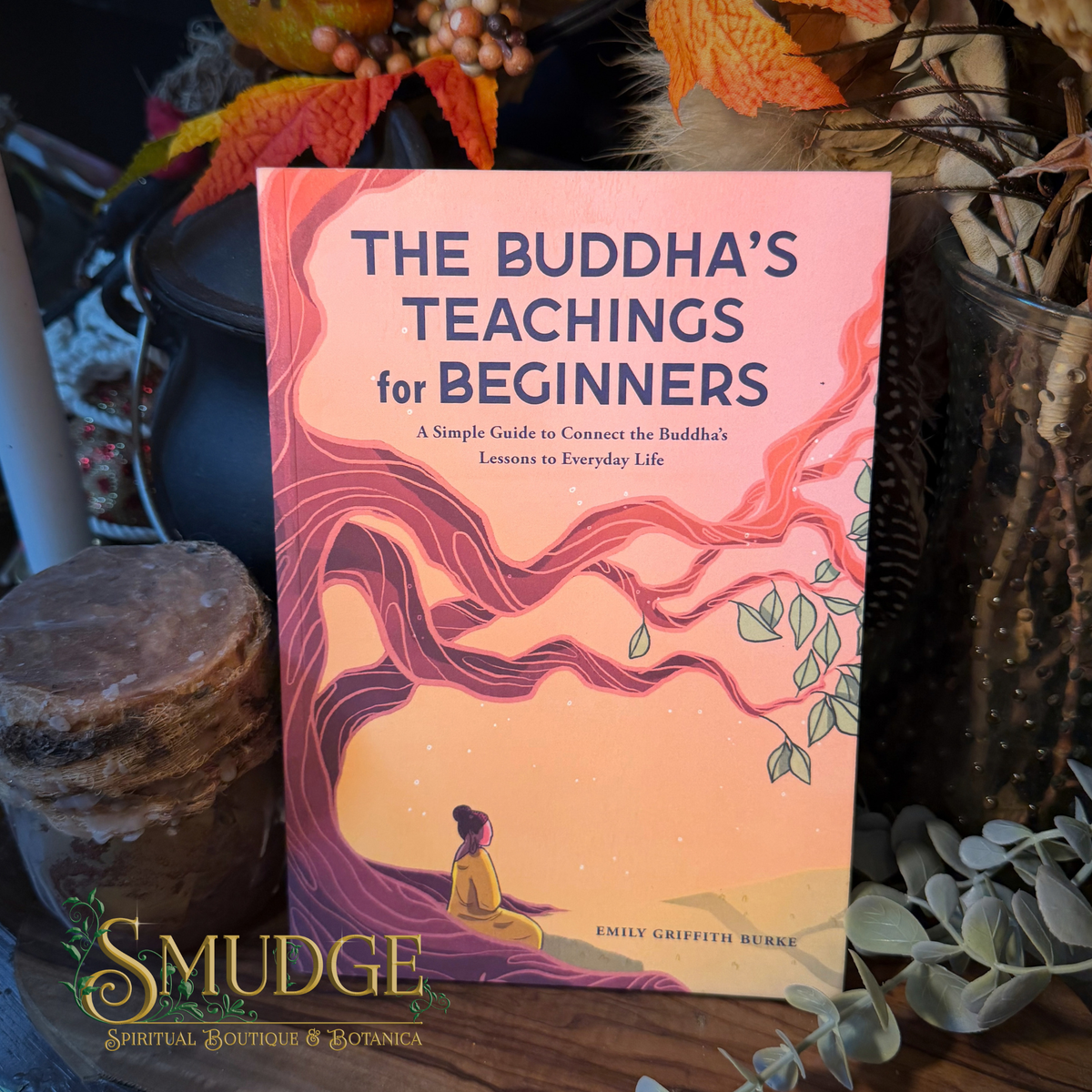 The Buddha's Teachings for Beginners