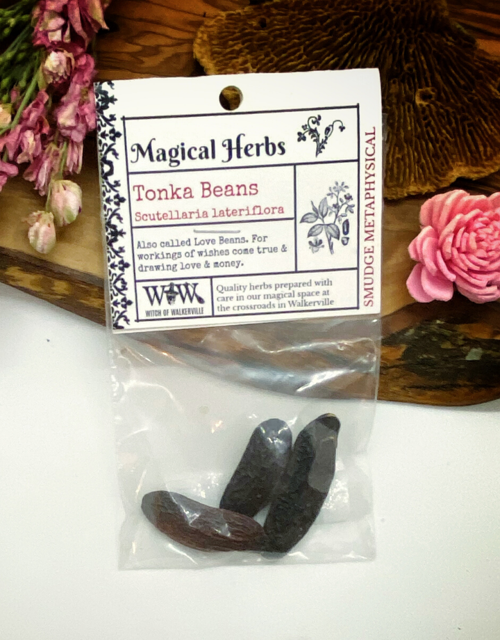 Tonka Beans (whole) 3