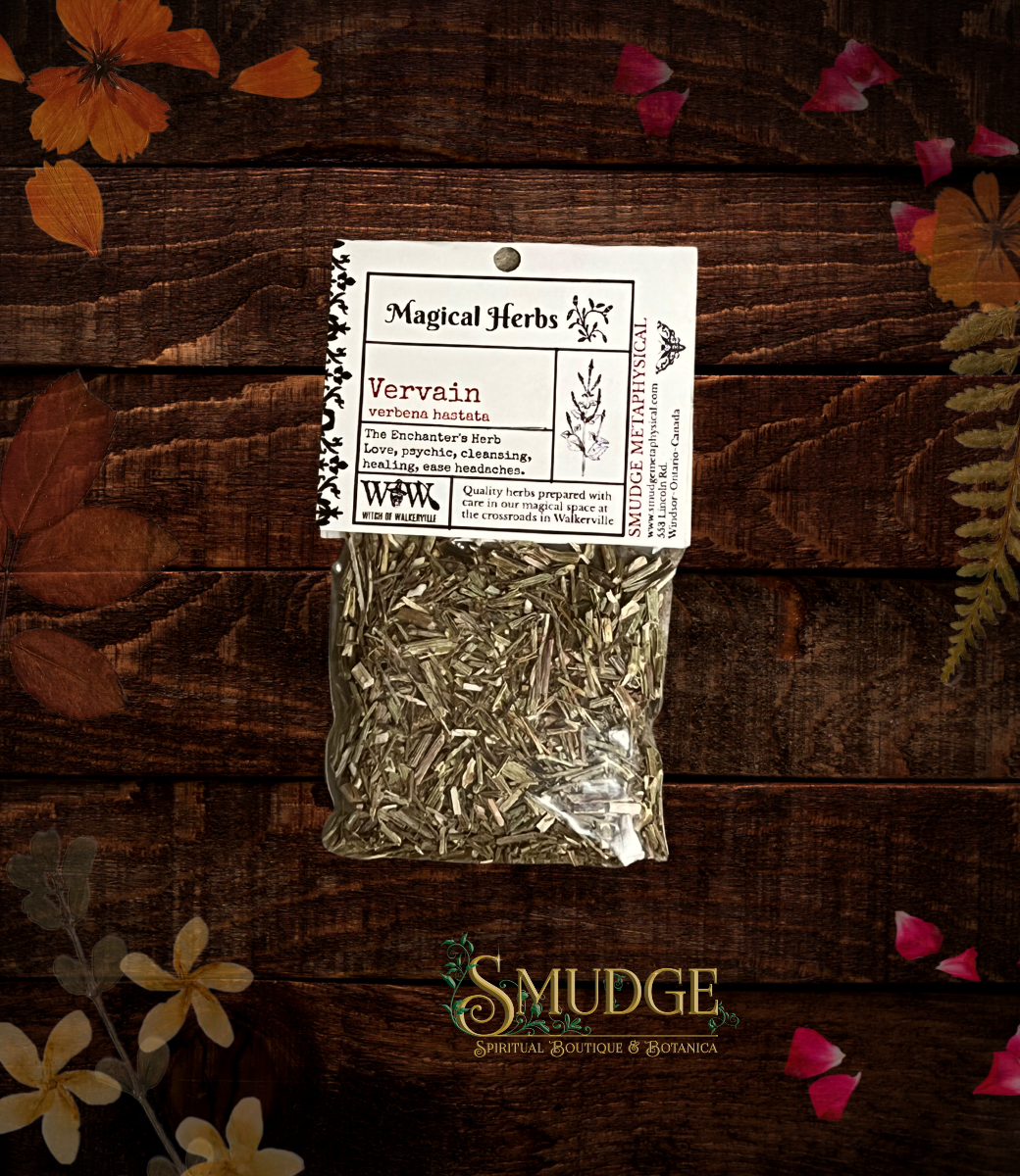 Vervain