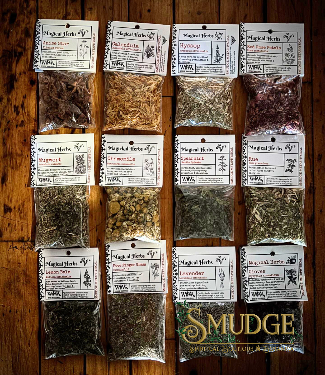 Witch's Dozen Herbal Cupboard Starter Kit