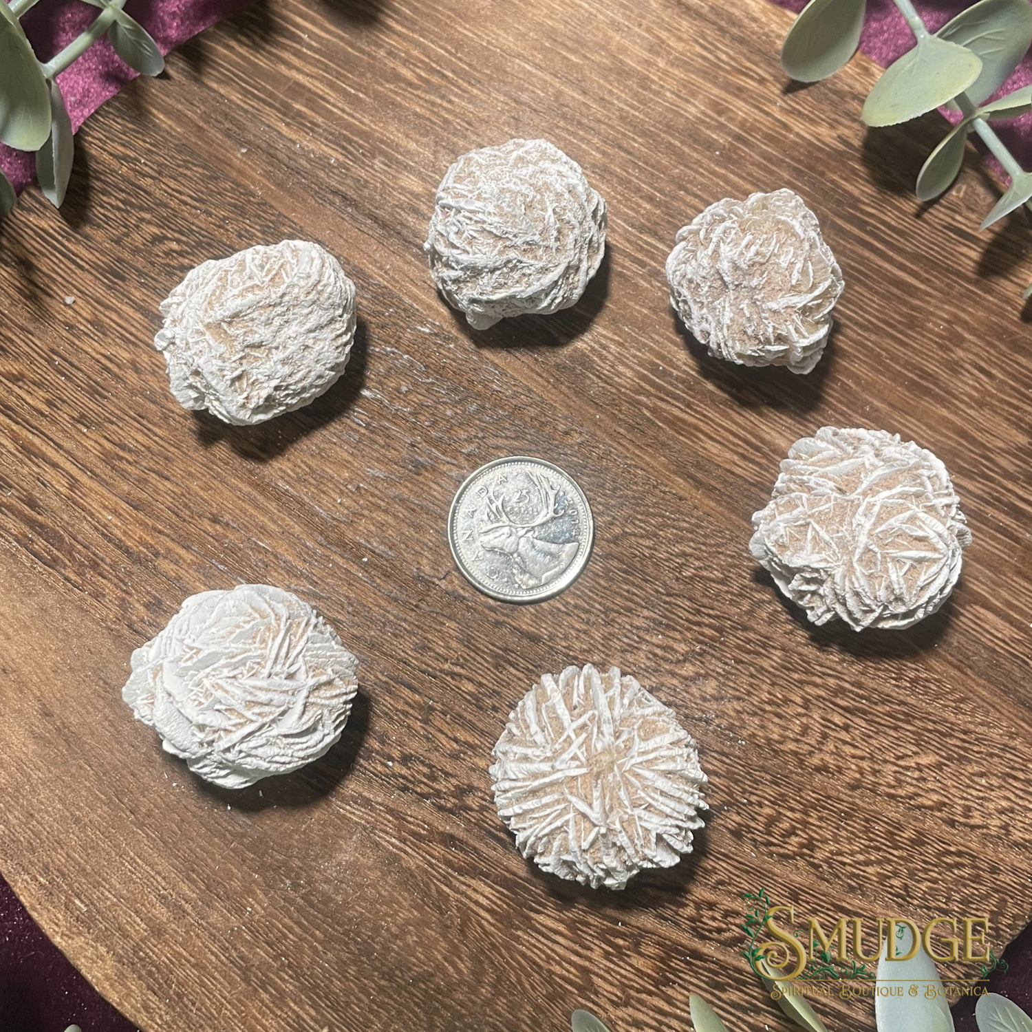 Desert Rose Selenite X-Large