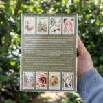 Hand holding a deck of cards with tarot card designs on the front